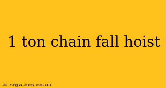 1 ton chain fall hoist