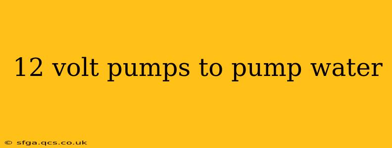 12 volt pumps to pump water