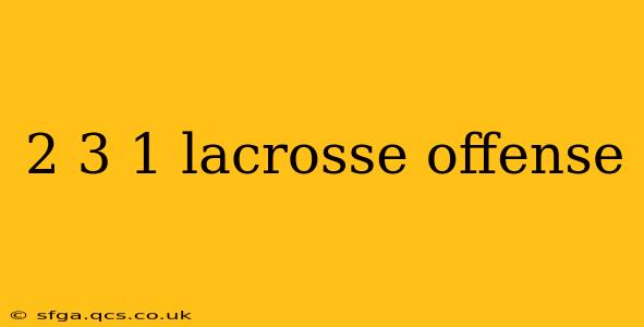 2 3 1 lacrosse offense