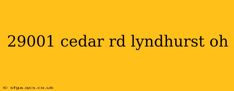 29001 cedar rd lyndhurst oh