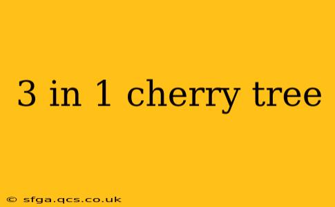 3 in 1 cherry tree