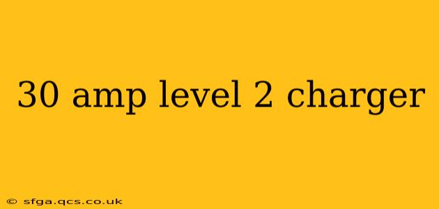 30 amp level 2 charger
