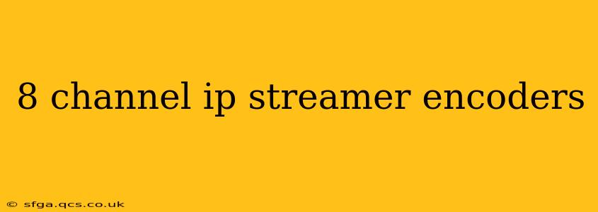 8 channel ip streamer encoders