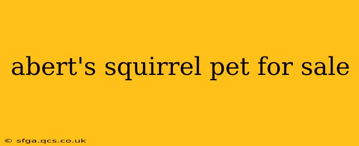 abert's squirrel pet for sale