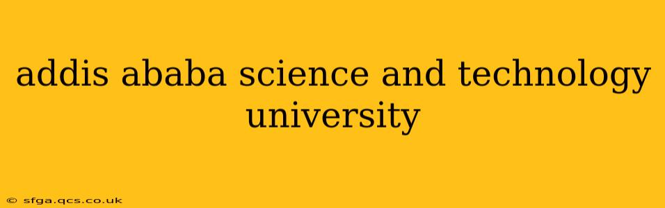 addis ababa science and technology university