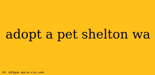 adopt a pet shelton wa