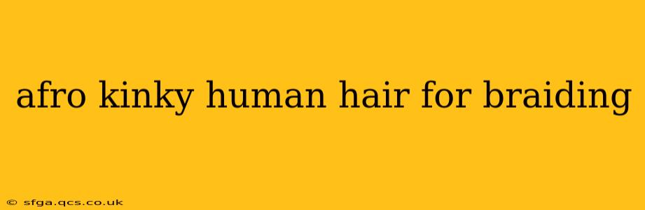 afro kinky human hair for braiding