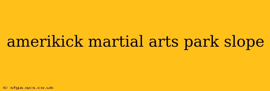 amerikick martial arts park slope