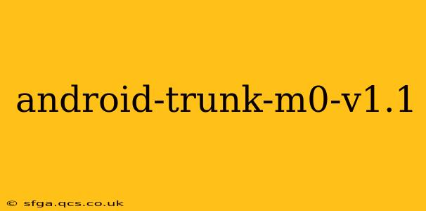 android-trunk-m0-v1.1