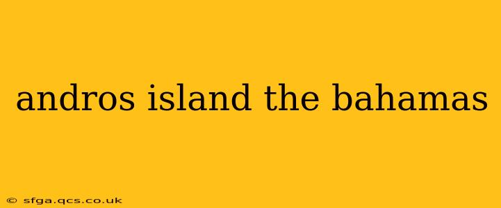 andros island the bahamas