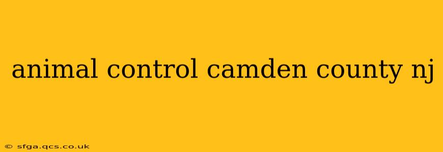 animal control camden county nj