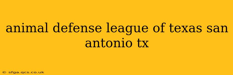 animal defense league of texas san antonio tx