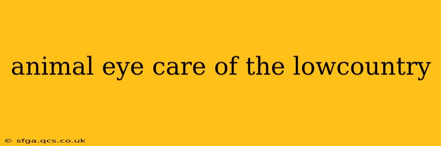 animal eye care of the lowcountry