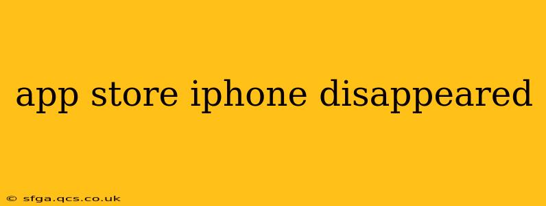 app store iphone disappeared
