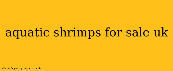 aquatic shrimps for sale uk