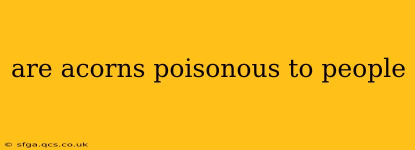 are acorns poisonous to people