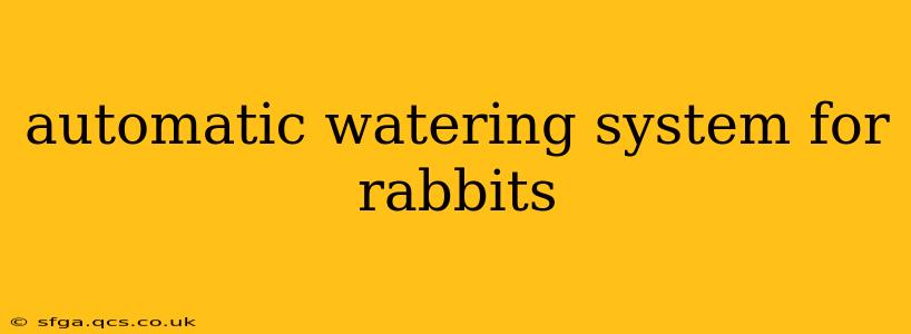 automatic watering system for rabbits