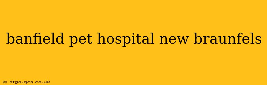 banfield pet hospital new braunfels
