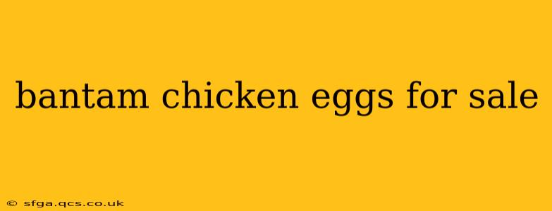 bantam chicken eggs for sale