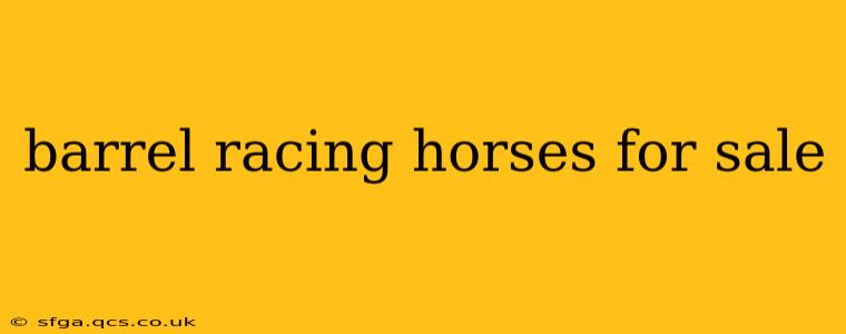 barrel racing horses for sale