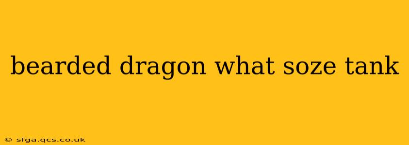 bearded dragon what soze tank