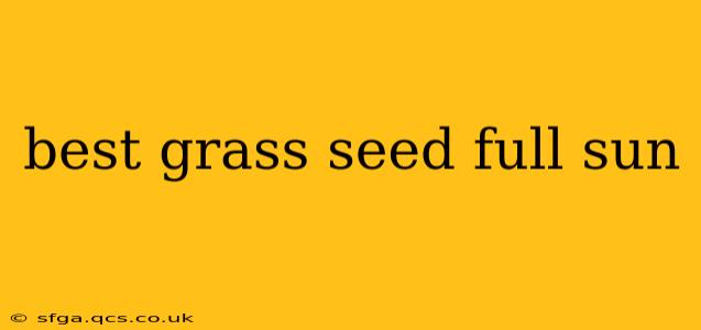 best grass seed full sun