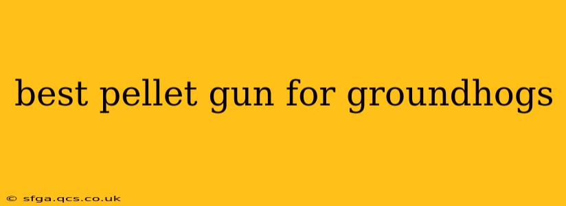 best pellet gun for groundhogs
