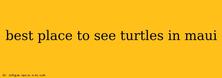 best place to see turtles in maui