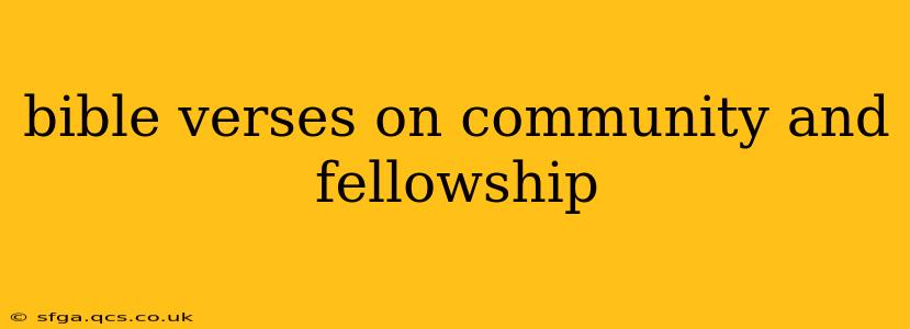 bible verses on community and fellowship