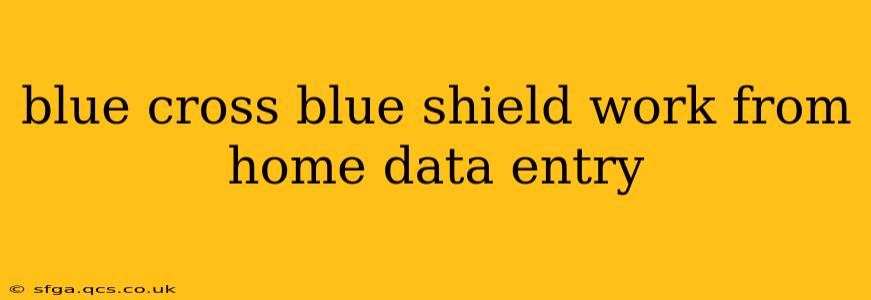 blue cross blue shield work from home data entry