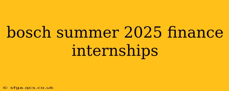 bosch summer 2025 finance internships