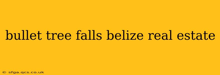 bullet tree falls belize real estate