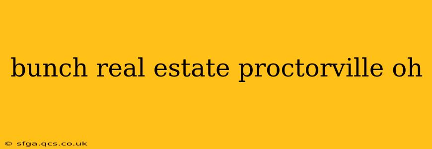 bunch real estate proctorville oh