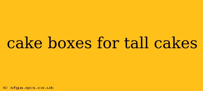cake boxes for tall cakes
