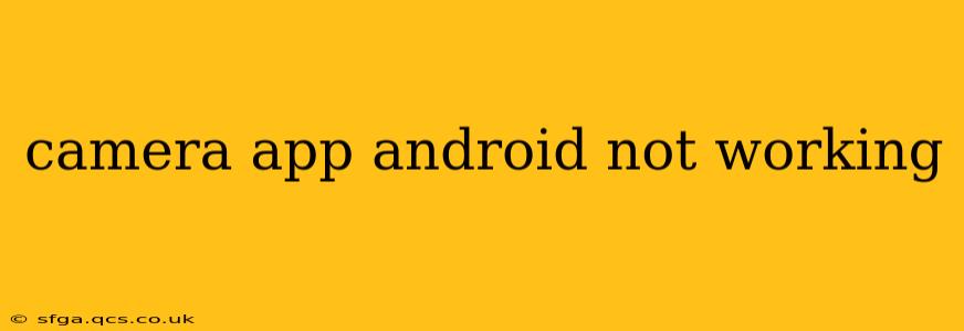 camera app android not working