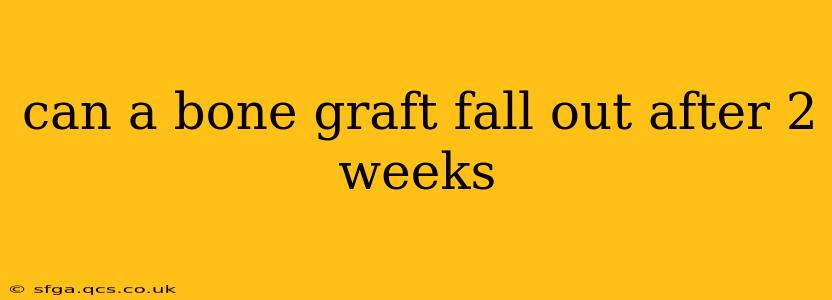 can a bone graft fall out after 2 weeks