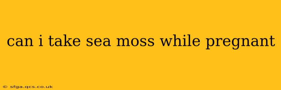 can i take sea moss while pregnant