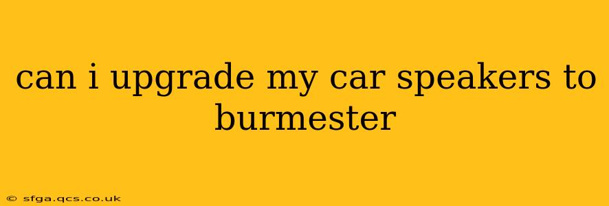 can i upgrade my car speakers to burmester