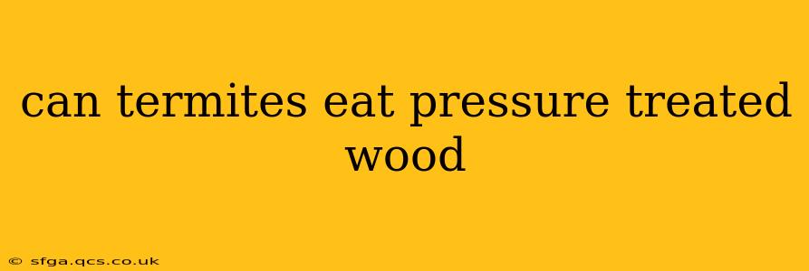 can termites eat pressure treated wood
