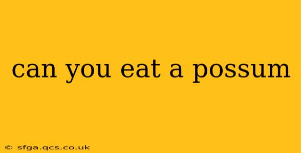 can you eat a possum