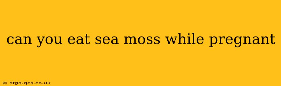 can you eat sea moss while pregnant