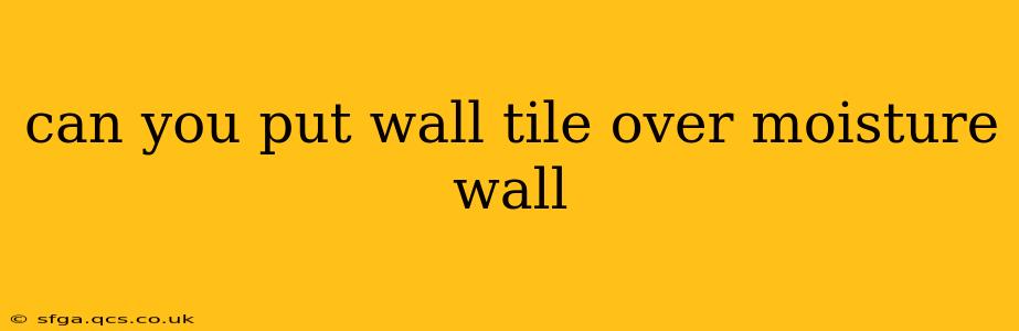 can you put wall tile over moisture wall