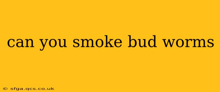 can you smoke bud worms can you smoke bud worms