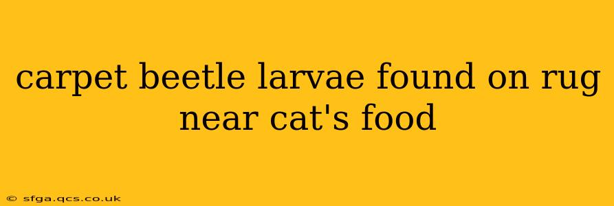 carpet beetle larvae found on rug near cat's food