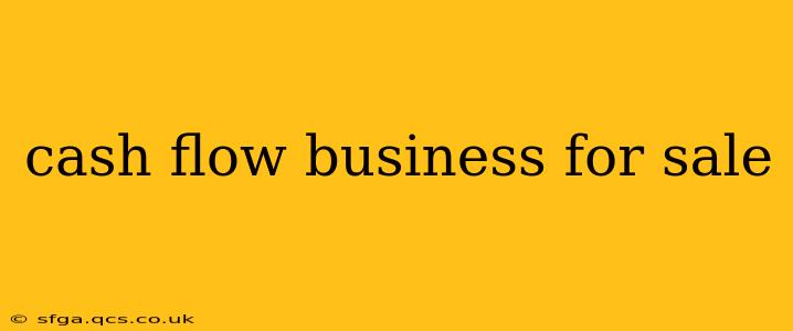 cash flow business for sale