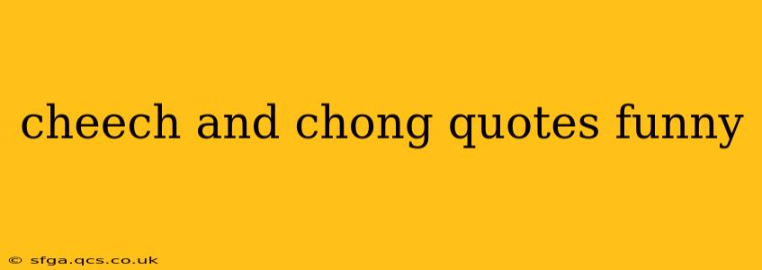 cheech and chong quotes funny