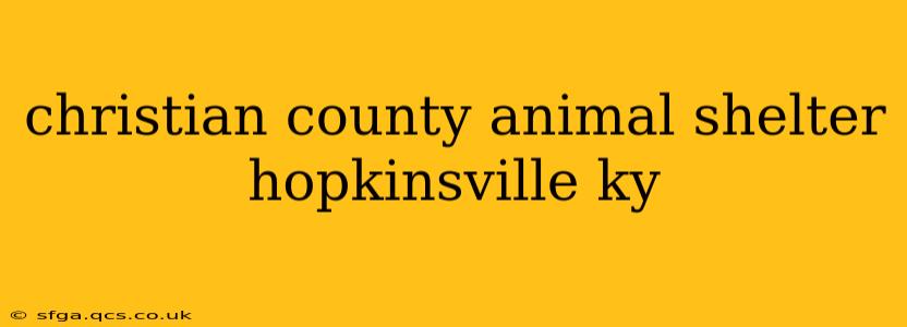christian county animal shelter hopkinsville ky