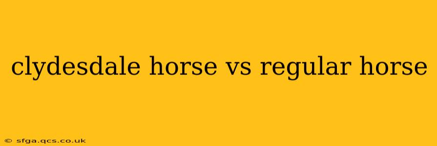 clydesdale horse vs regular horse