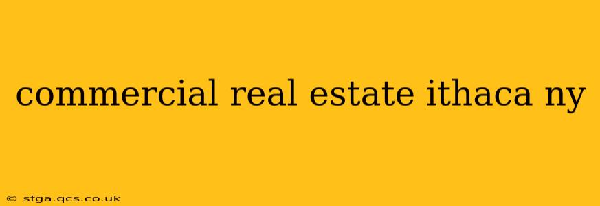 commercial real estate ithaca ny