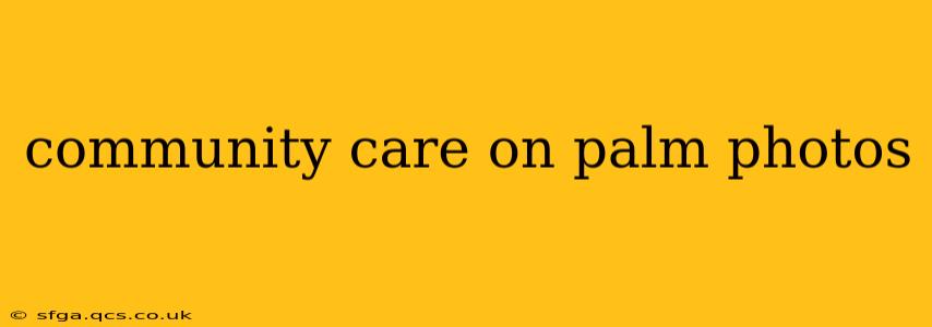 community care on palm photos